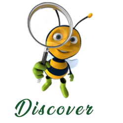Bees-discover